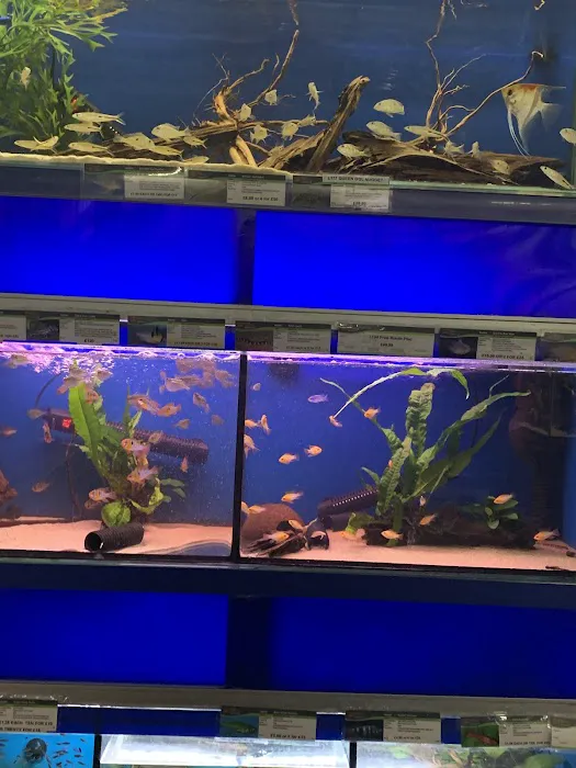 Maidenhead Aquatics Stockton Picture 10