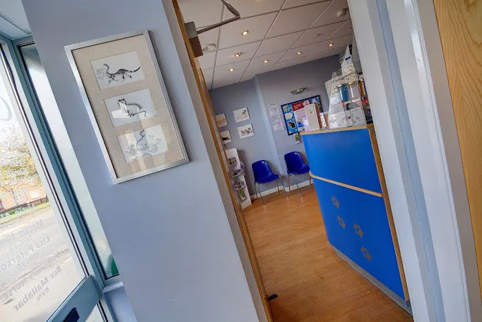 SimplyCats Vet Clinic Picture 1