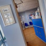 SimplyCats Vet Clinic
