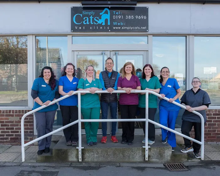 SimplyCats Vet Clinic Picture 9