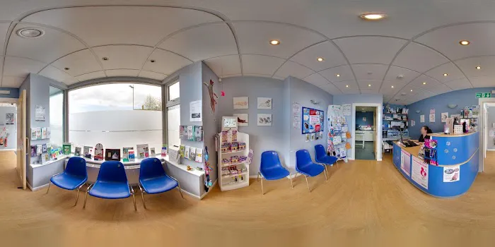 SimplyCats Vet Clinic Picture 3