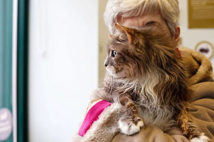 Abbey Veterinary Centre - Chester le Street Picture 1