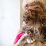 Abbey Veterinary Centre - Chester le Street