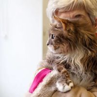 Abbey Veterinary Centre - Chester le Street ico