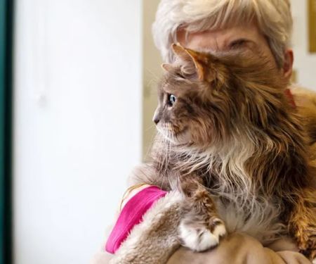 Abbey Veterinary Centre - Chester le Street