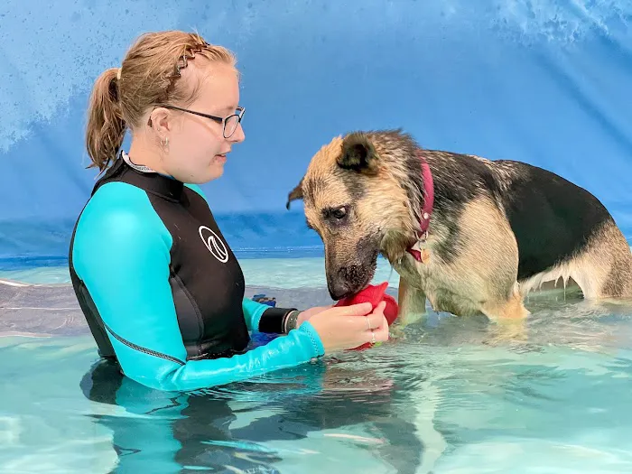 North East Hydrotherapy & Animal Rehabilitation Picture 3