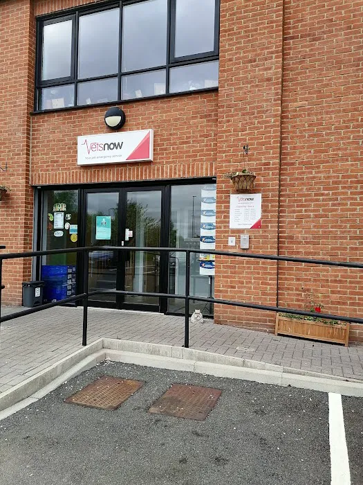 Jacqui Paterson’s Veterinary Surgeon Picture 8