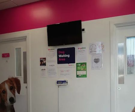 Vets4Pets - Sunderland South