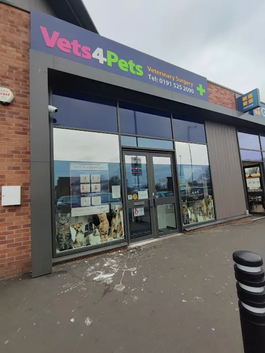 Vets4Pets - Sunderland South Picture 2