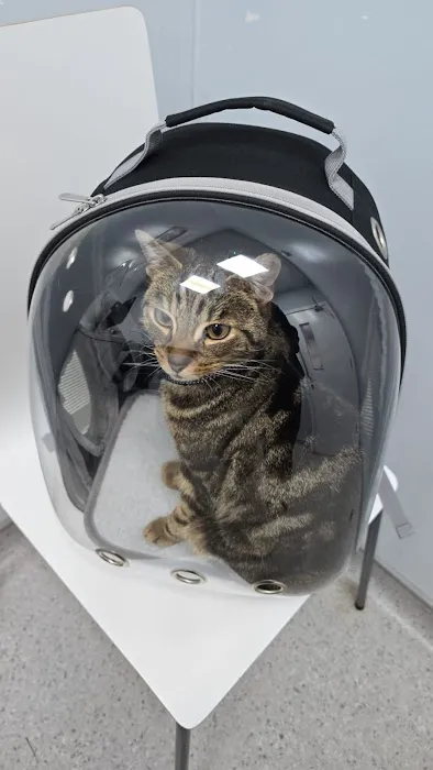 Vets4Pets - Sunderland South Picture 4