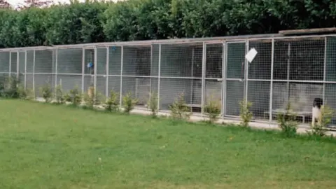 Tarril Boarding Kennels & Cattery Picture 7
