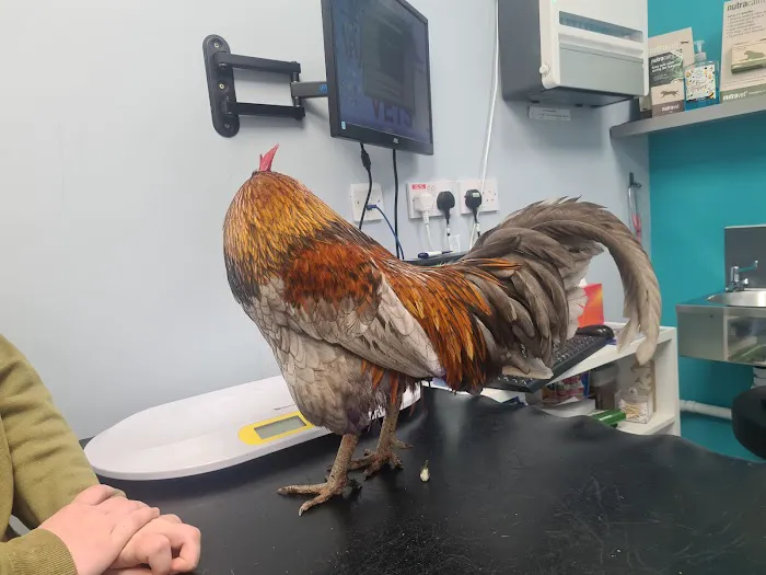 Wrights' Vets Picture 5
