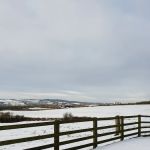 Winchester Cattery