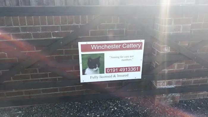 Winchester Cattery Picture 6