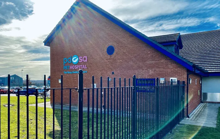 Sunderland PDSA Pet Hospital Picture 3