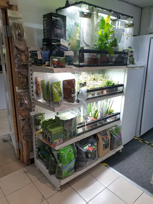 Smith's Reptiles Picture 1