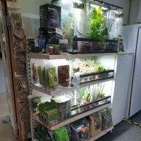 Smith's Reptiles ico