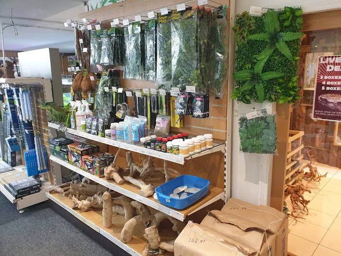 Smith's Reptiles Picture 5