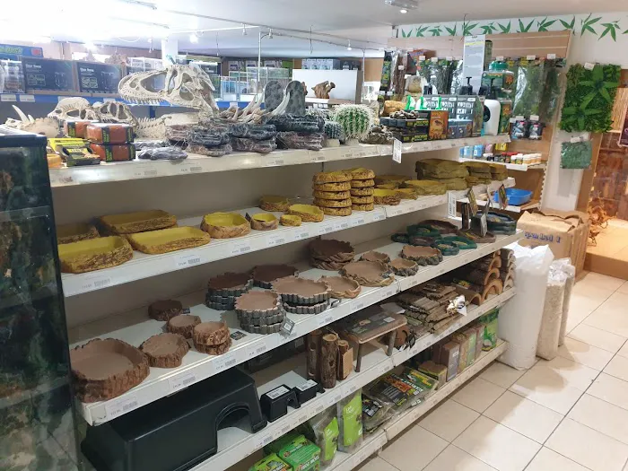 Smith's Reptiles Picture 3