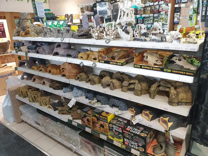 Smith's Reptiles Picture 4