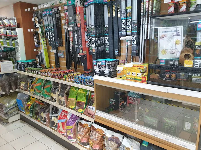 Smith's Reptiles Picture 7