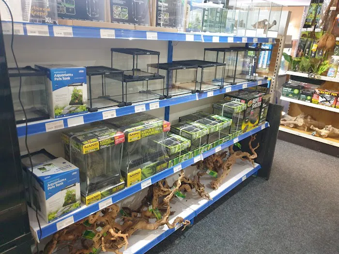 Smith's Reptiles Picture 8