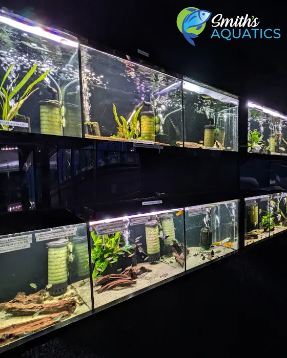 Smith's Aquatics Picture 4