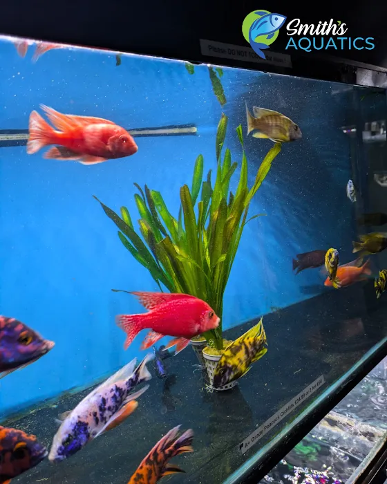 Smith's Aquatics Picture 3