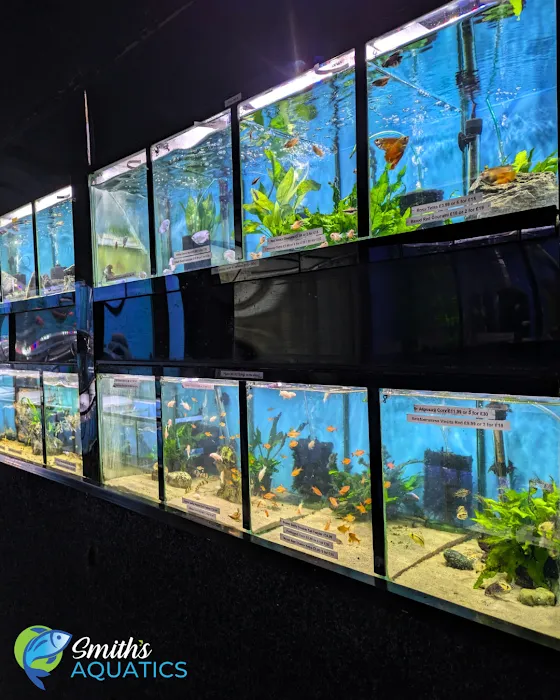 Smith's Aquatics Picture 2