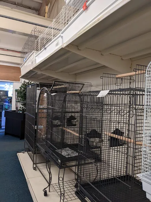 Smith's Pets Picture 5