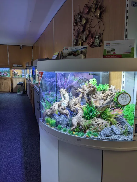 Smith's Pets Picture 9