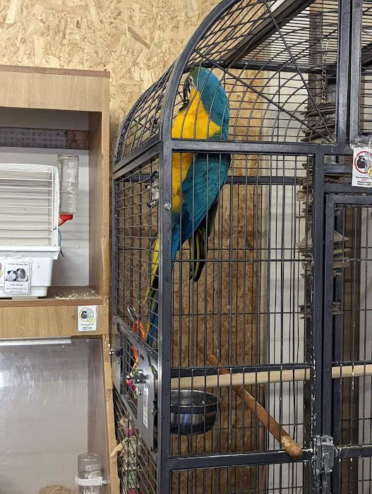 Smith's Pets Picture 8