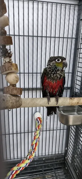 Smith's Pets Picture 1