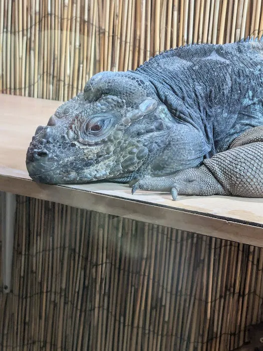 Smith's Pets Picture 10