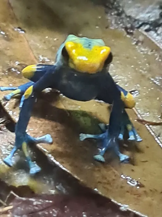 Smith's Pets Picture 6