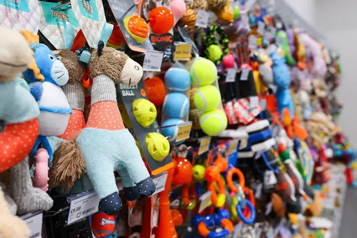 Jollyes - The Pet People Stockton-on-Tees Picture 5