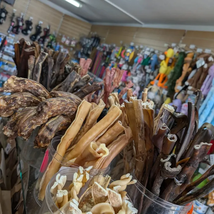 Smith's Pets Picture 5