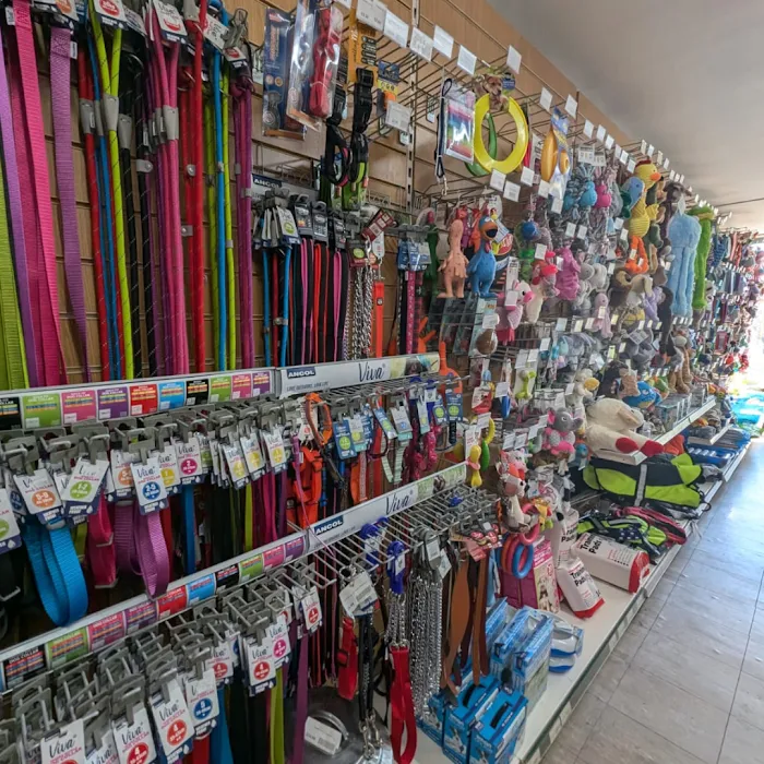 Smith's Pets Picture 4