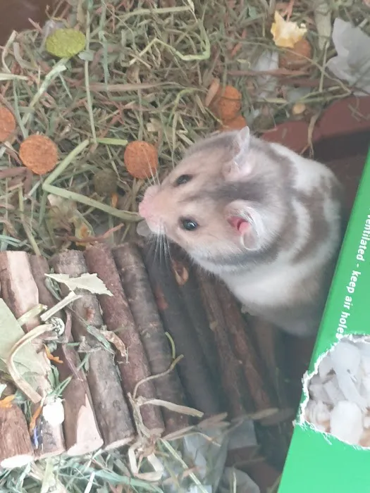 Pets at Home Teesside Picture 10