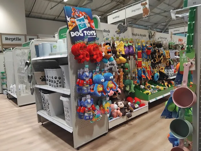 Pets at Home Teesside Picture 8