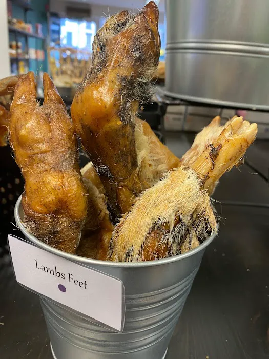 The Pet Quarter Picture 1