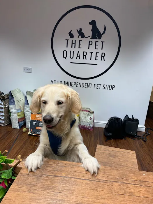 The Pet Quarter Picture 6