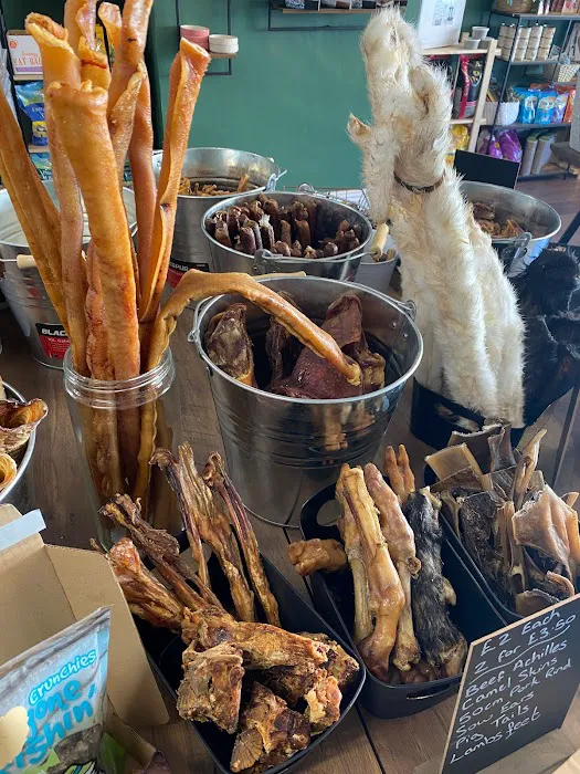 The Pet Quarter Picture 10