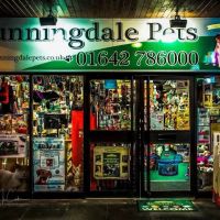 Sunningdale Pets ico