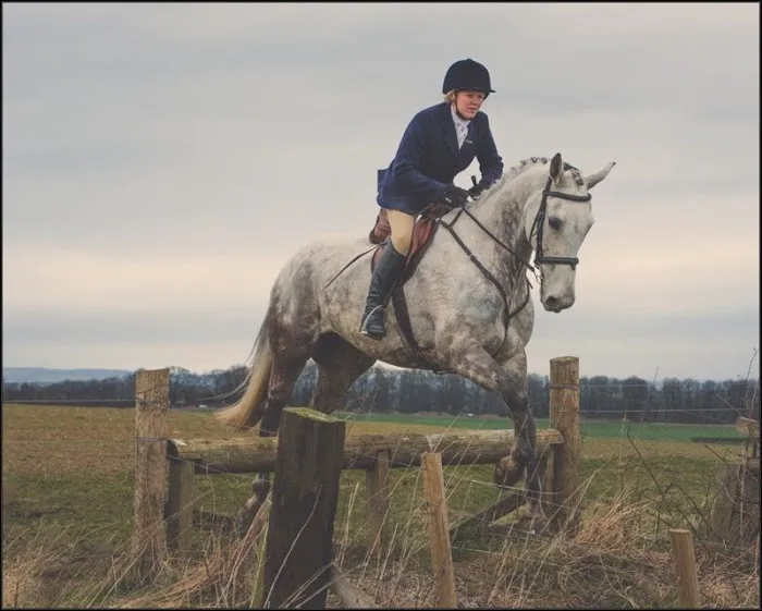 The Equine Dental Vet Picture 7