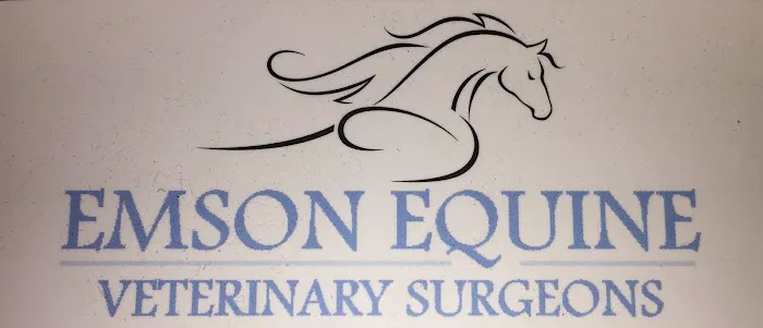 The Equine Dental Vet Picture 1