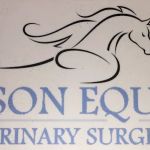 The Equine Dental Vet