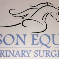 The Equine Dental Vet ico