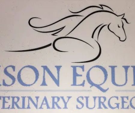 The Equine Dental Vet