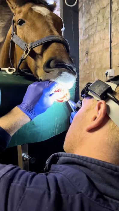Equine veterinary Dentist Ltd Picture 3
